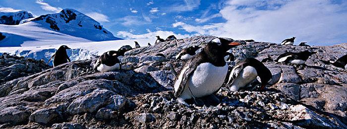 PS5版《消逝的光芒2》2月2日预装 文件大小21GB