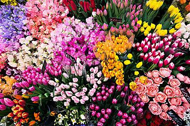 《漫威金刚狼》开发最早期视频：加载图标是蜘蛛侠