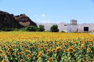 《GT赛车7》已获得ESRB评级 包含用户互动和游戏内购