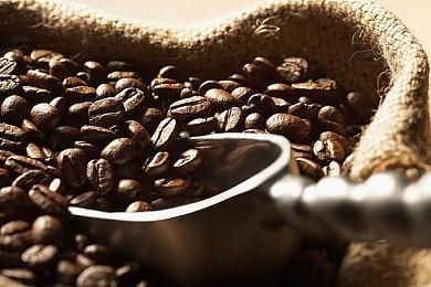 经典归来 《热血少女2》“双截龙”DLC现已正式发布